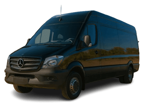 Executive Sprinter (12-14 passengers)