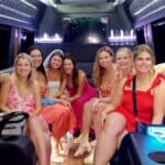 Mercedes Sprinter Van (12-14 PAX)