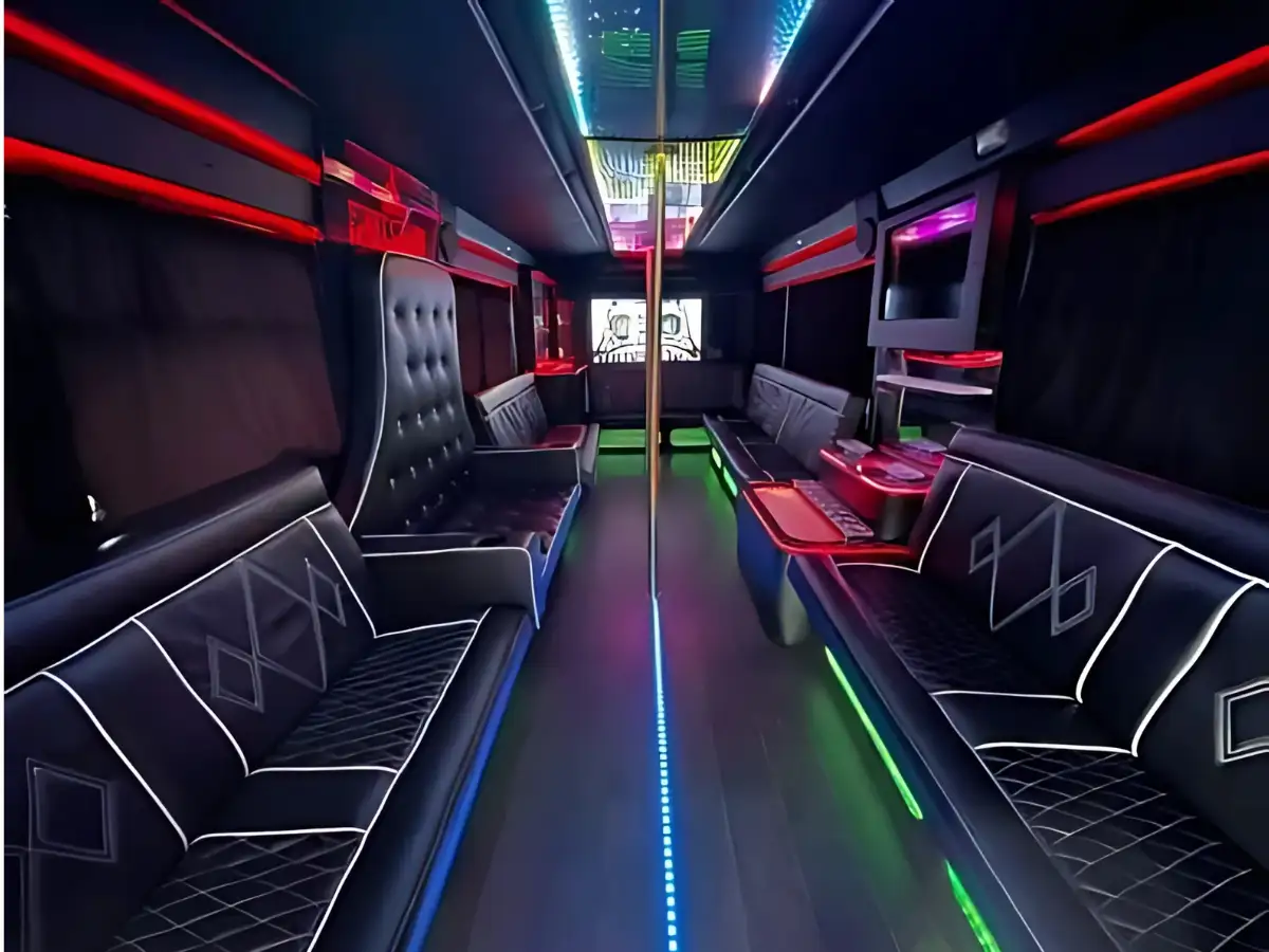 Sprinter Limo - 10-13 pax
