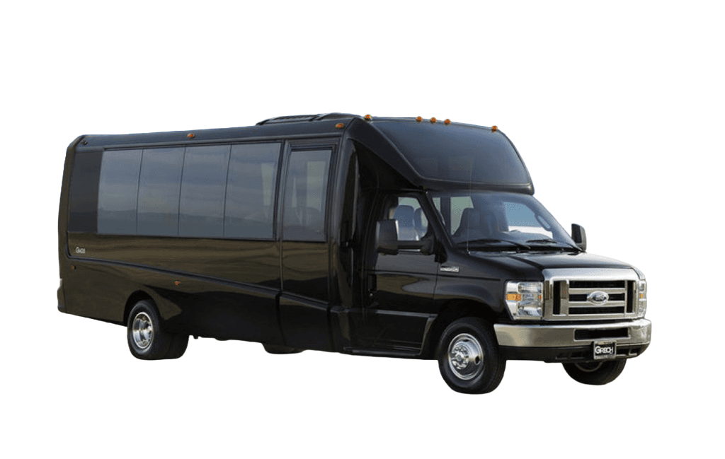 20 Passenger Mini Party Bus
