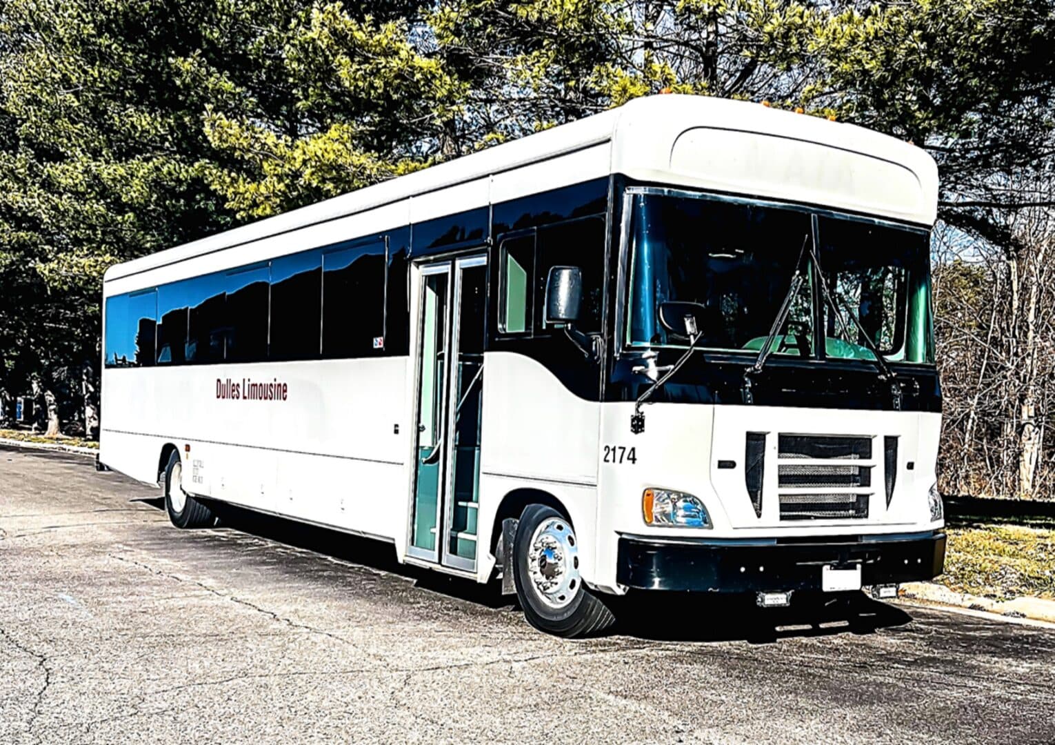 46 Passenger Apollo Bus