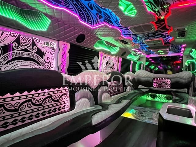 VENICE Party Bus – 34 passenger