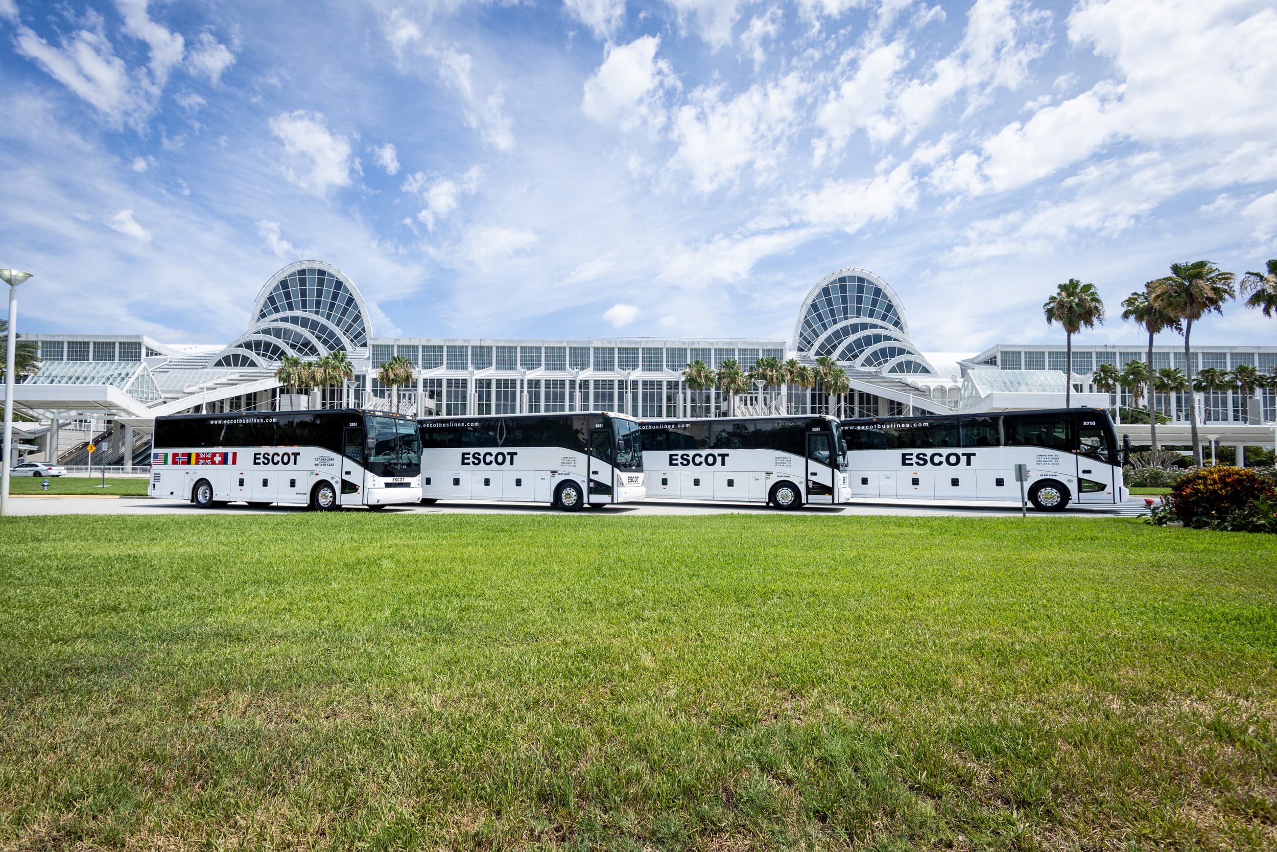 47 Passenger Transit Bus