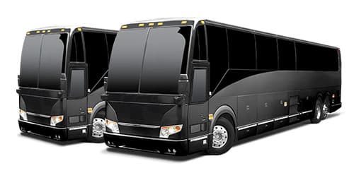 Luxury Charter Busses
