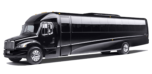 Gretch Mini Exec Coach