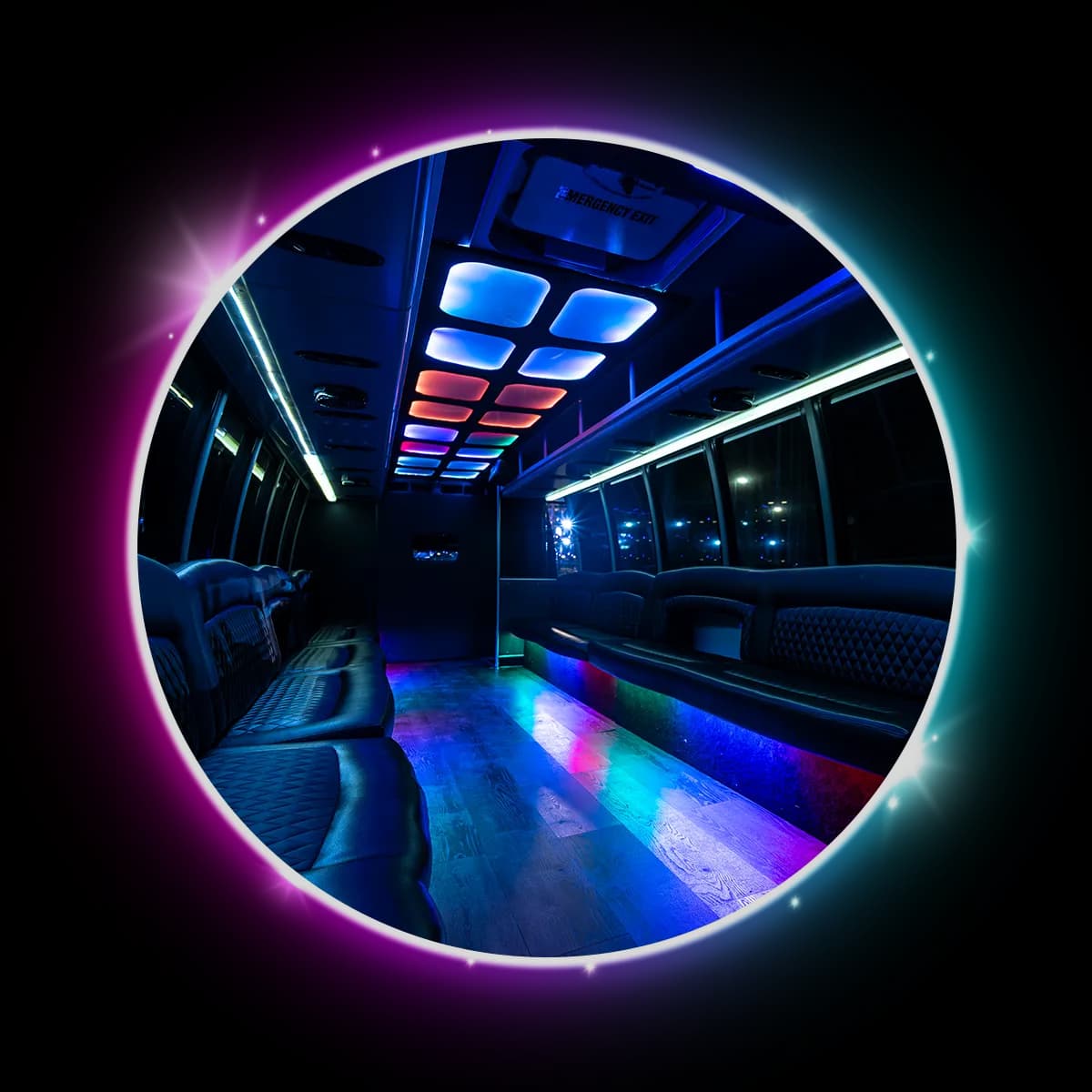 Liberace 24 Passenger Party Bus