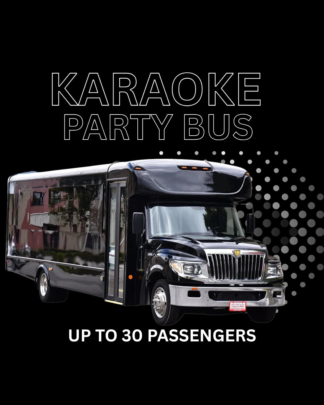 Karaoke Party Bus (30 Passenger)