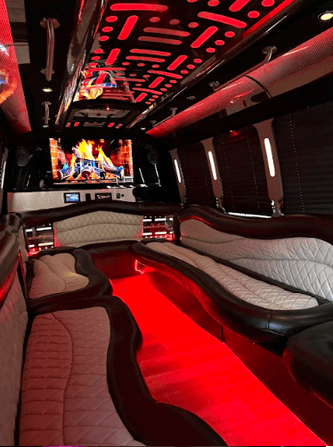 Luxury Party Bus With Storage
