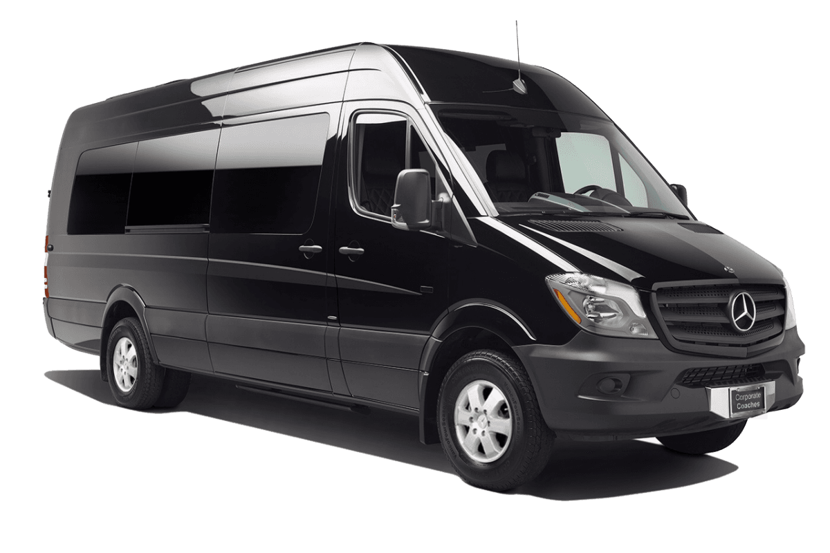 Limo 20 Passenger