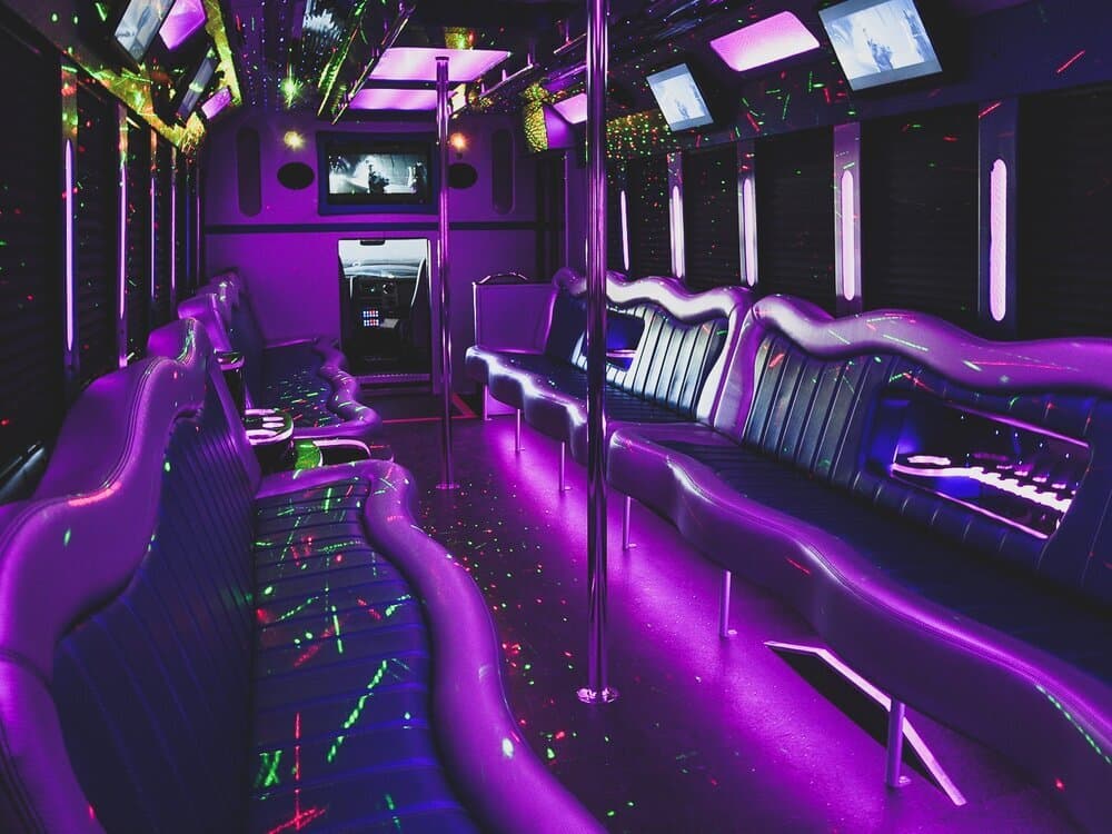 Party Bus 50 Passenger