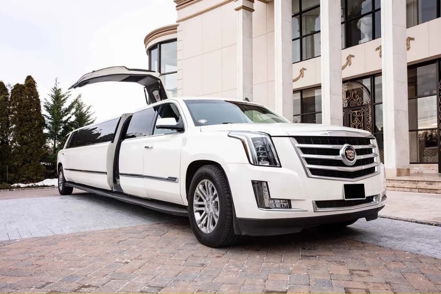 High-Energy Party Bus