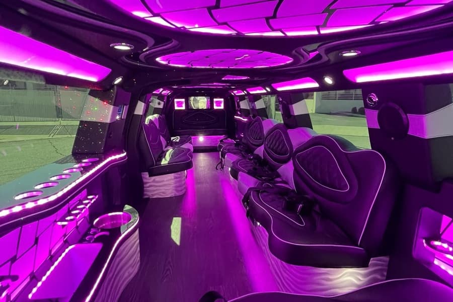 Amy Party Bus Deluxe - 30 Passenger, Bathroom