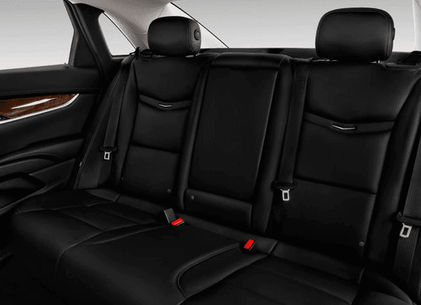 20 Passenger Black Limo Coach / Party Bus