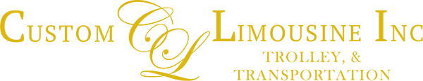 14 Passenger Luxury Corporate Shuttle Van