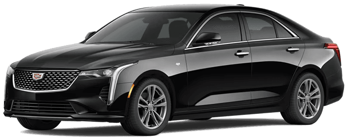 Motor Coach