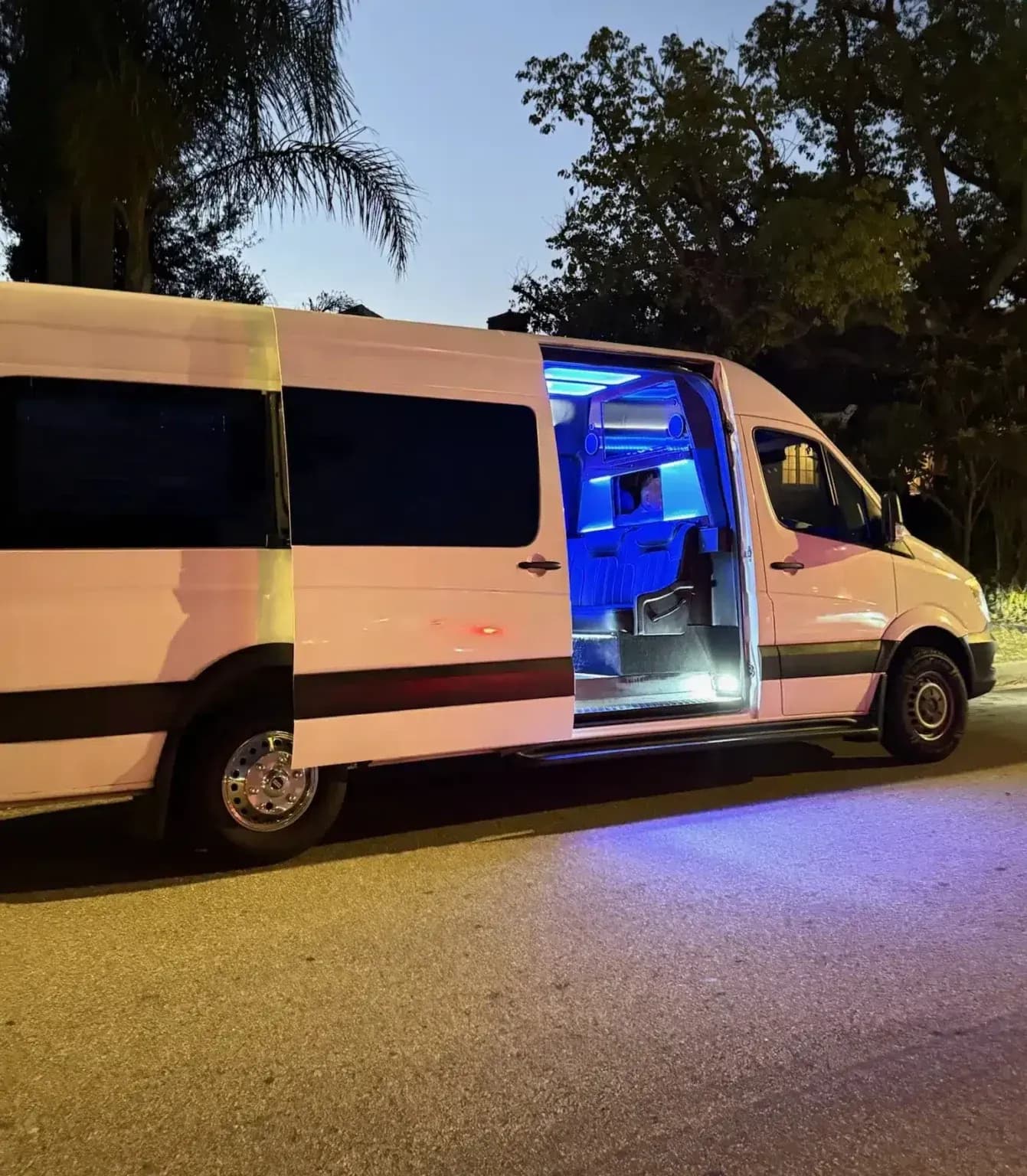Bonnie - Mercedes Party Bus (10-15 passengers)