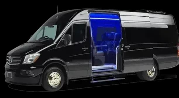 Executive Sprinter Van 12 Passenger