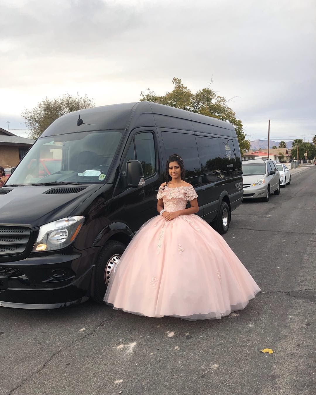 8 Passenger Cadillac Limo