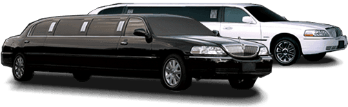 Level 4 Luxury Limo Bus