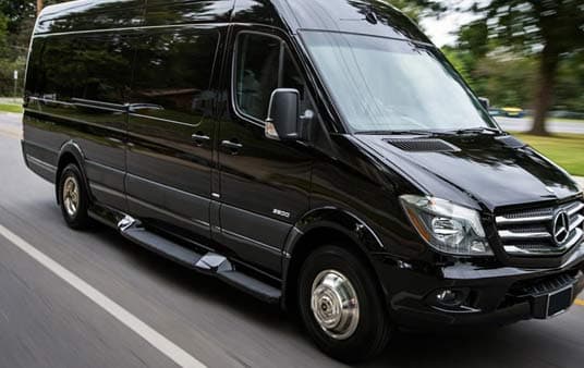 Sprinter Limo Van - 14 Passenger