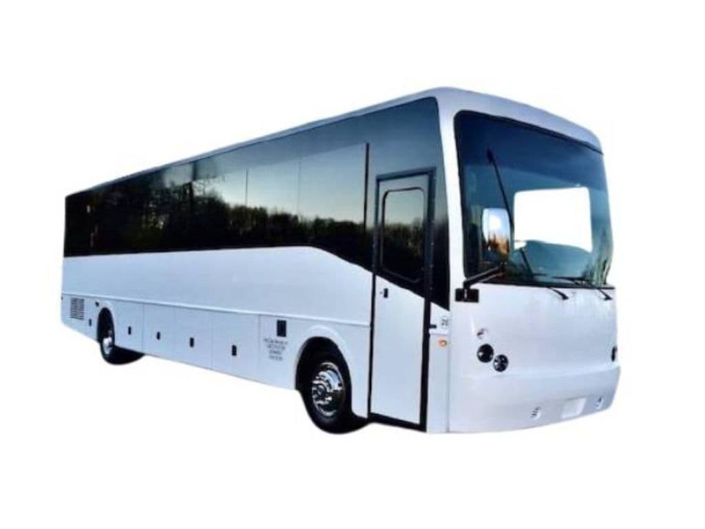 VIP Party Bus - 20 Passenger