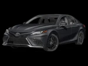 Black Full-Size (LUX)