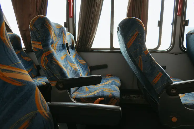 34 Passenger Party Bus (Limo)