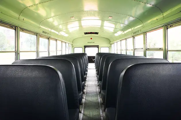 20 Passenger Party Bus (Limo)
