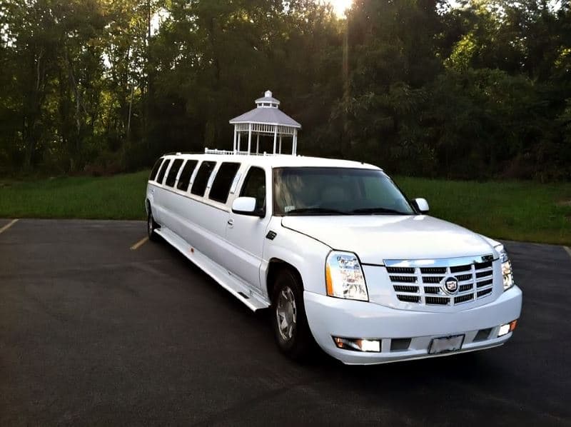 Stretch Limousine (15 passengers)
