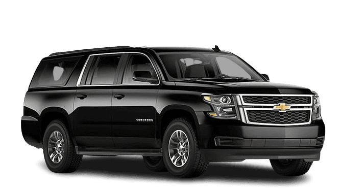 Minivan for Wheelchair Transportation