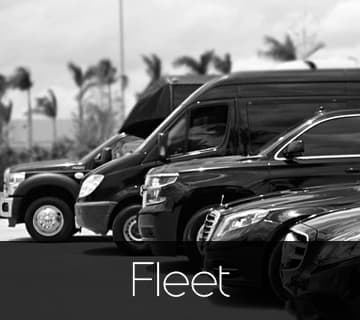 Tiffany Executive Charter