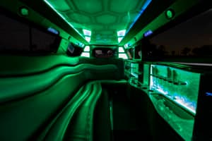 Party Bus - available with or without pole, sleek, fun