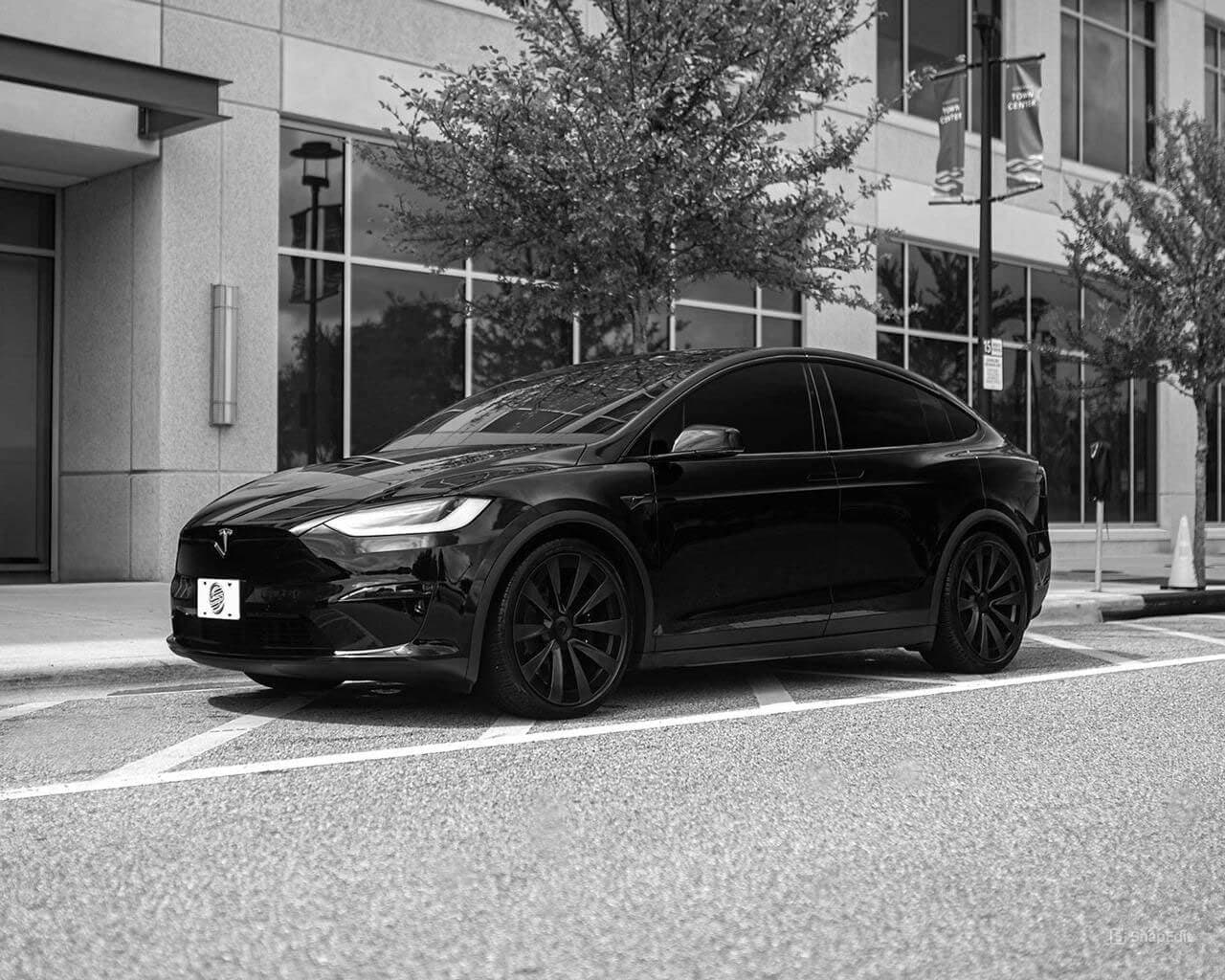 Tesla Model X Luxury EV