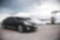 Antique Limos