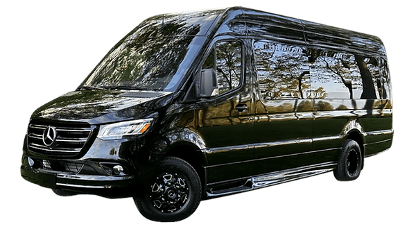 11 Passenger Luxury Sprinter