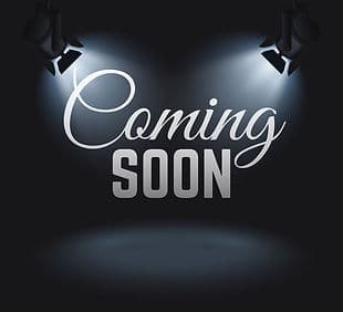 26 Passenger Party Bus (Coming Soon)