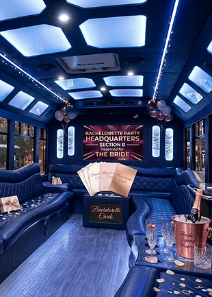 40-50 Passenger Luxury Coach