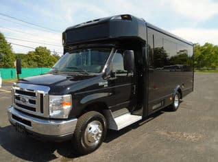 Medium Party Bus