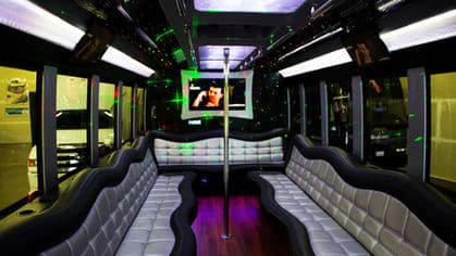 Large Party Bus Executive