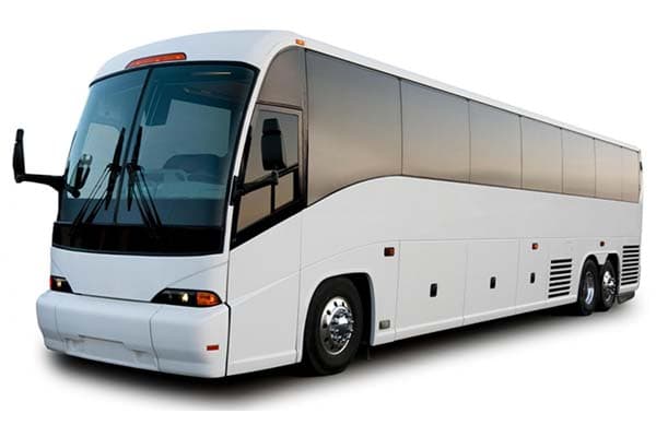 Limo Coach Bus 45 Passenger