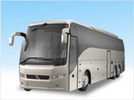 Party Buses – 32-55 Passengers
