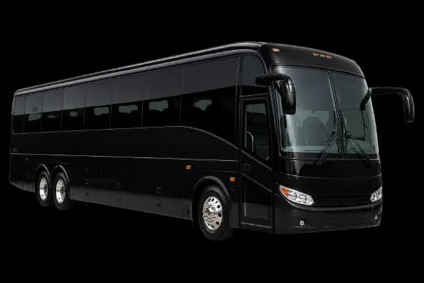 Coach Bus Executive