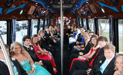 Limo Mike