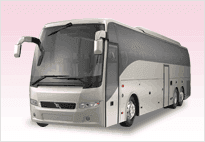 Party Buses (33-55 Pass)
