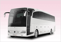 Charter Buses (40-55 Pass)