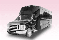 Party Buses (15-22 Pass)