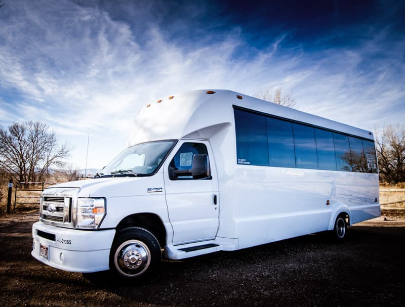 Malibu Party Bus - 20 Passenger