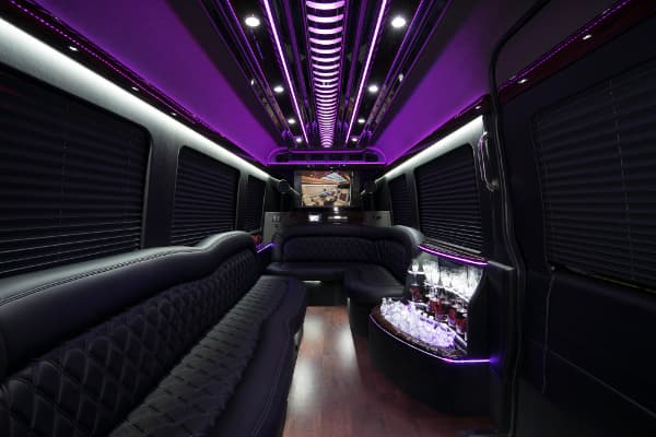 Sprinter Van (12 passengers)