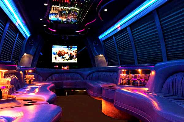 Limousine Bus - 20 Passenger