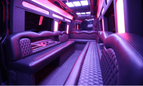 45+ passenger coach